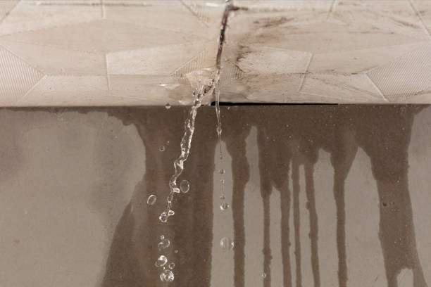 Professional Structural Drying technician working in Williamsfield, OH